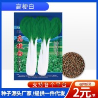 廠家批發(fā)代發(fā)快速耐抽苔四季長梗小白菜青菜種子耐熱耐寒蔬菜